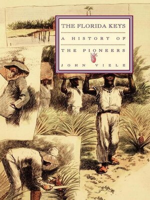 cover image of A History of the Pioneers